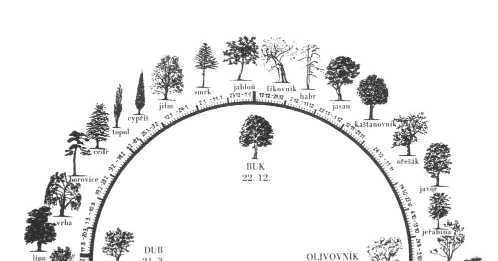 Полный гороскоп друидов по дате рождения — узнай свое дерево-покровителя