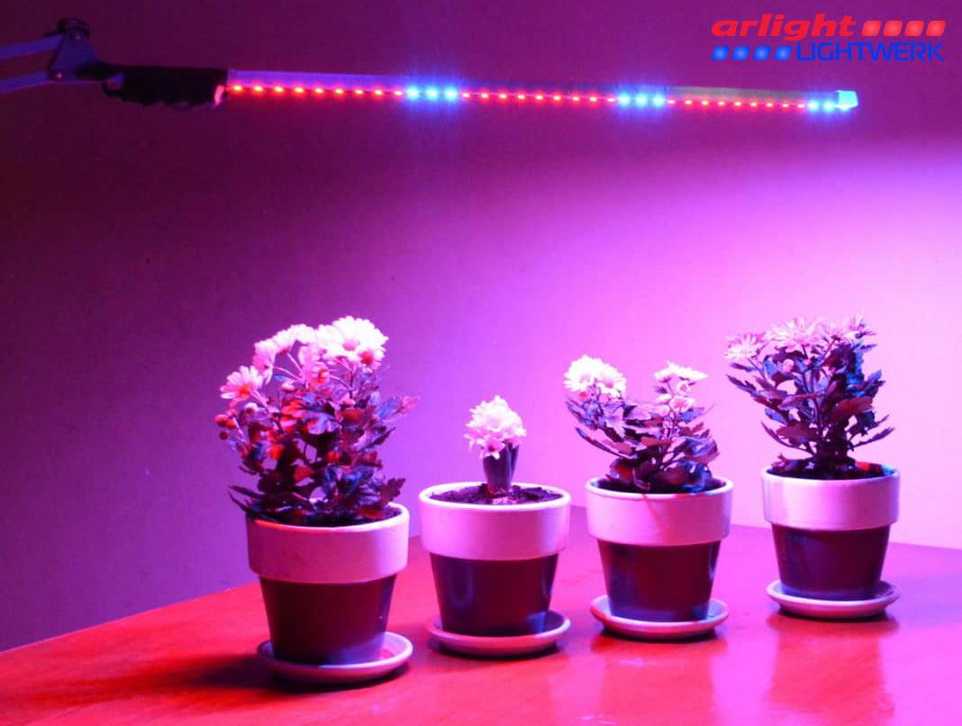Лампы для досветки растений: зимой, на подоконнике, в теплице