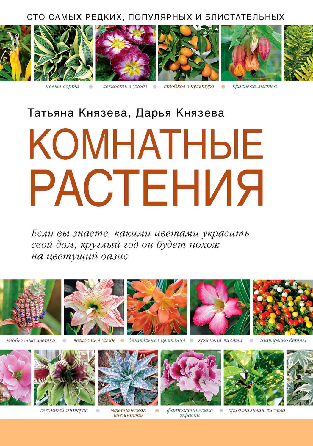 Комнатные цветы (100 фото) — каталог с названиями и описаниями