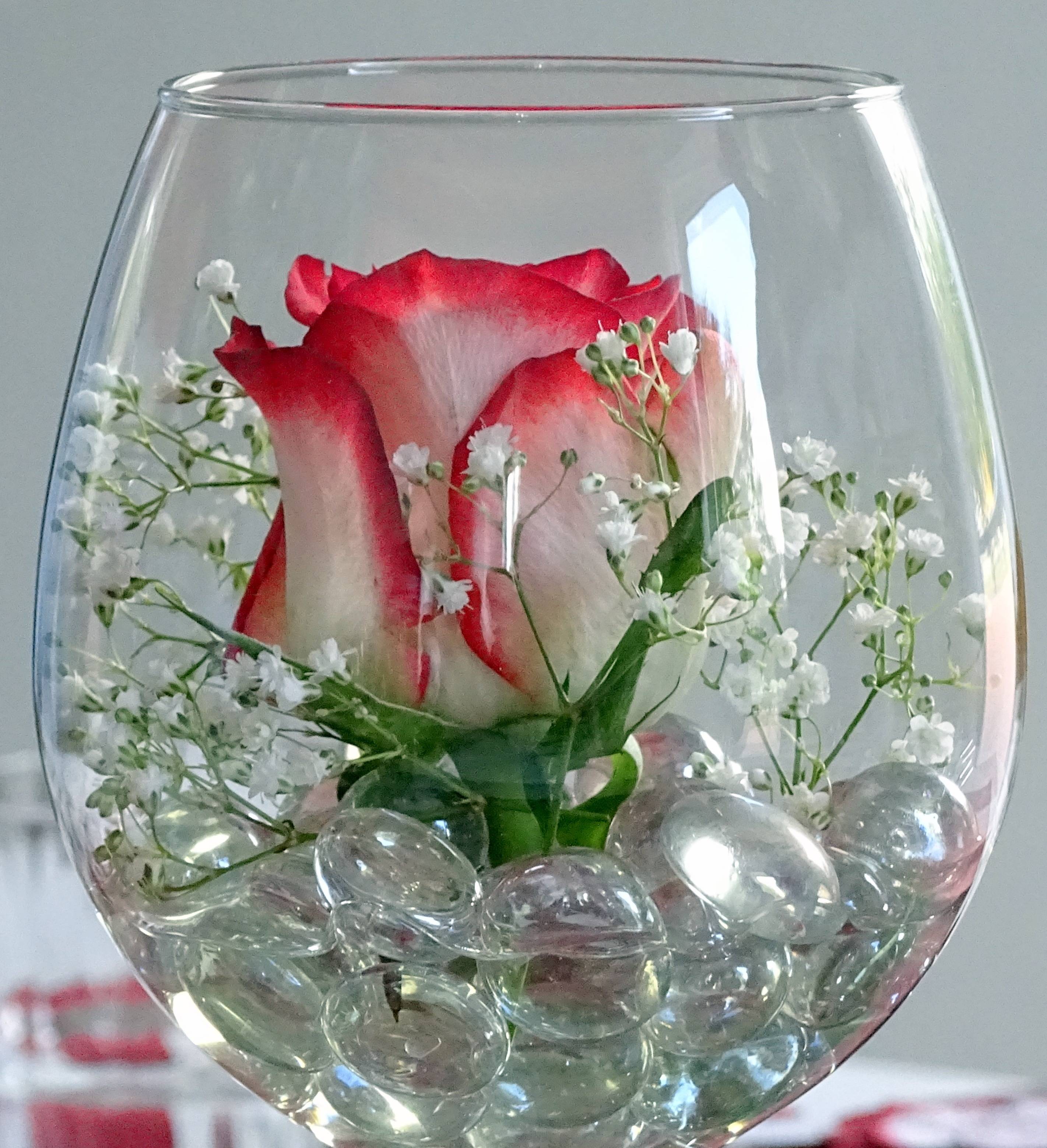 Неувядающие цветы в стекле? это новая реальность! неувядающие цветы неувядающие цветы