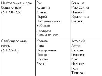 ᐉ как подкислить почву для комнатных растений - ogorod-u-doma.ru