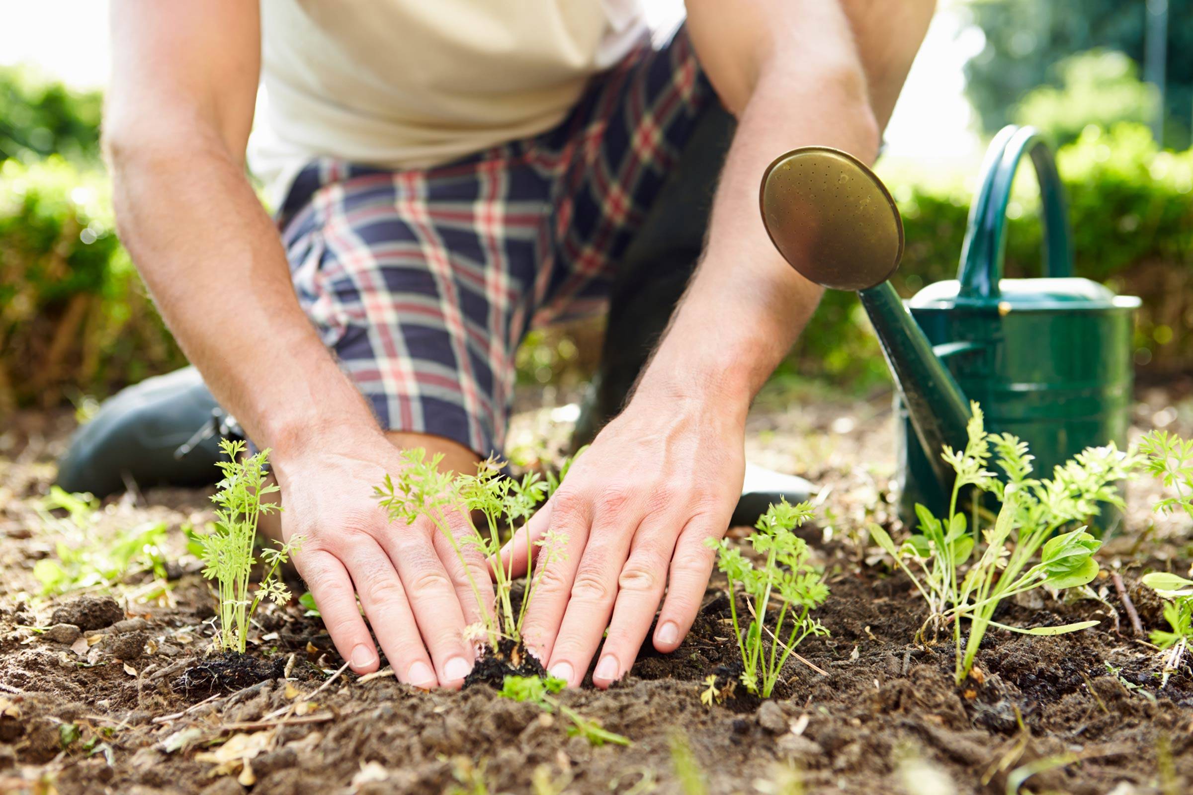 Как не потерять дачу с 1 января 2022 года: новый закон о садоводческих товариществах ☝