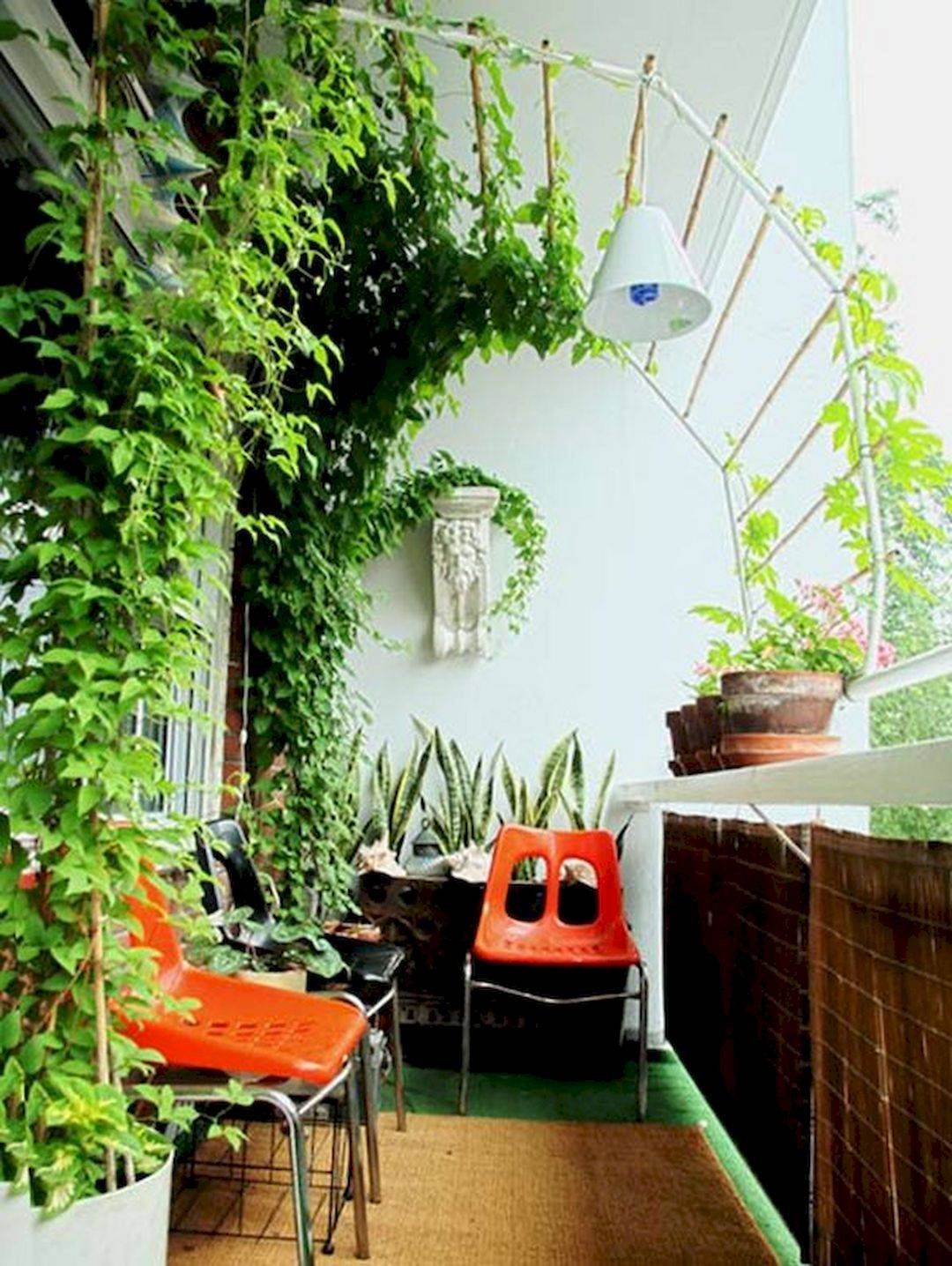 Растения для балкона круглогодичные: какие существуют морозоустойчивые растения для балкона и как за ними ухаживать