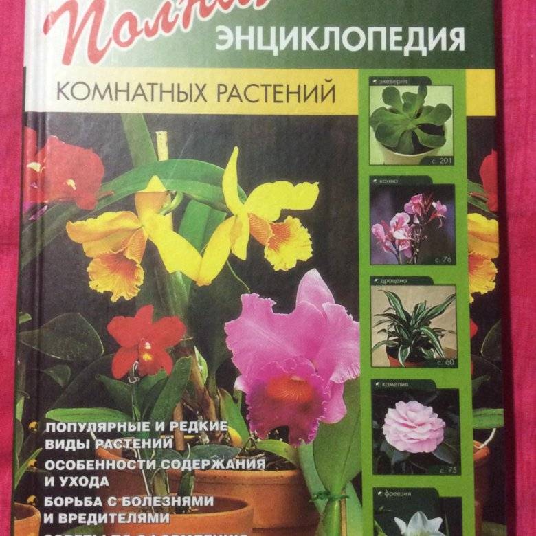 Энциклопедия комнатных растений: комнатные цветы, домашние растения, уход и выращивание цветов. цветы и растения дома