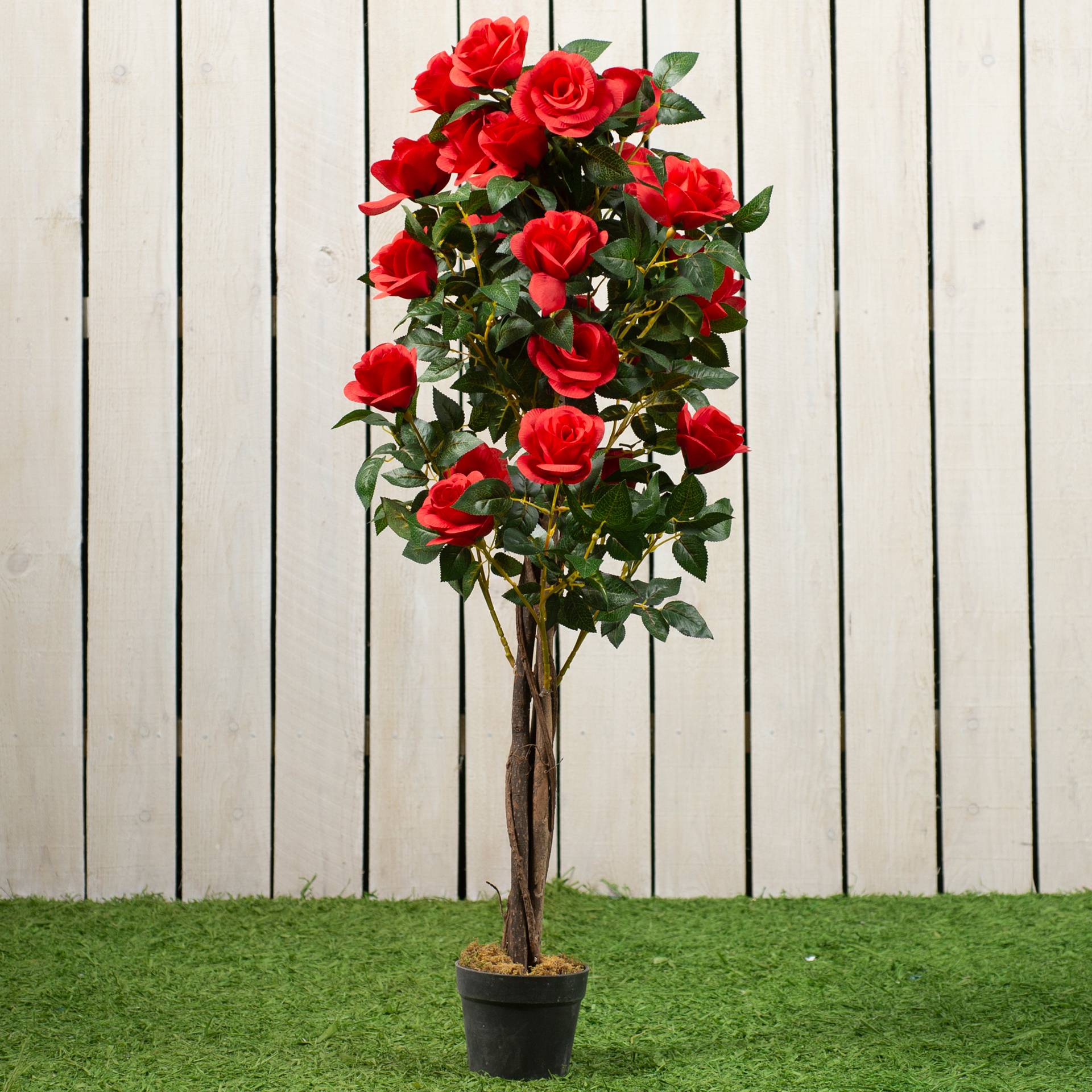 Штамбовая роза посадка и уход в открытом грунте: как привить розу на штамб