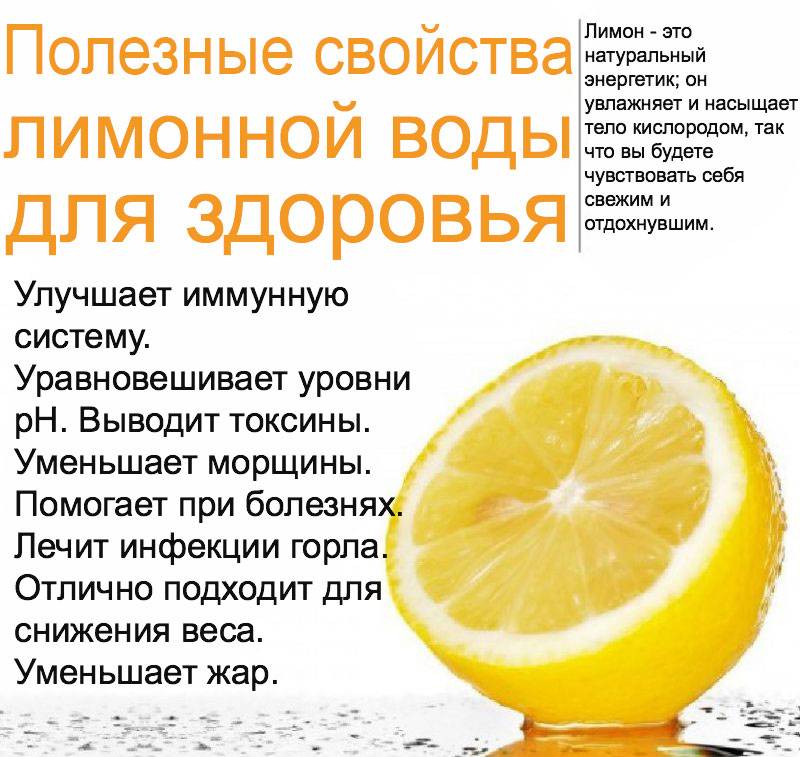 Удивительный плод апельсин – фрукт или ягода, особенности и описание, сбор и использование урожая
