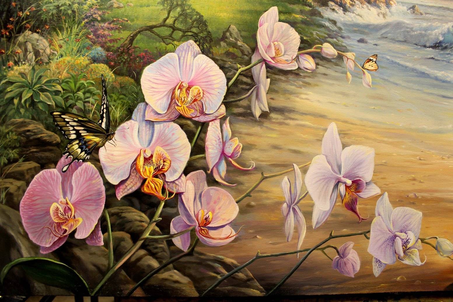 Орхидея: приметы и суеверия для дома