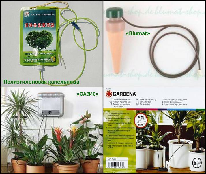Как сделать капельный полив комнатных растений? | kucher's life