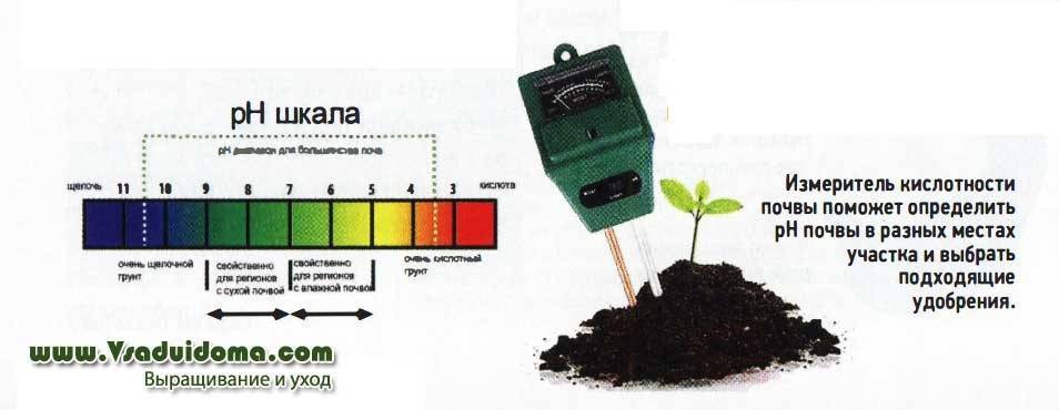 Как подкислить почву для комнатных растений - агро журнал "ru поле"