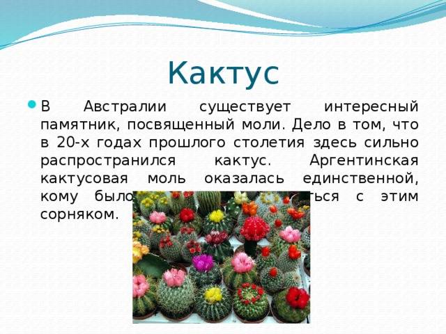 Топ-10 интересных фактов о растениях в картинках. | hawkish.ru