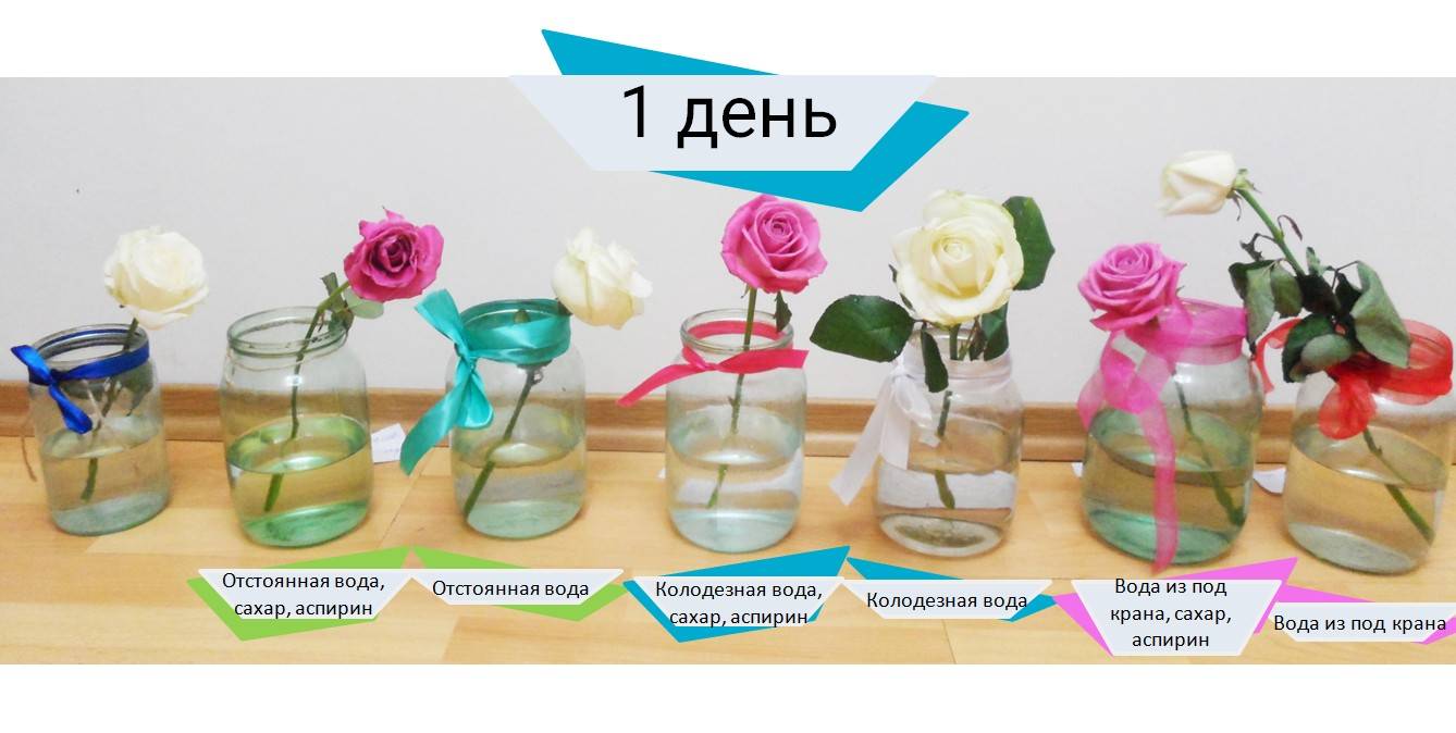Как сохранить цветы в вазе подольше и способы, чтобы цветы долго стояли
