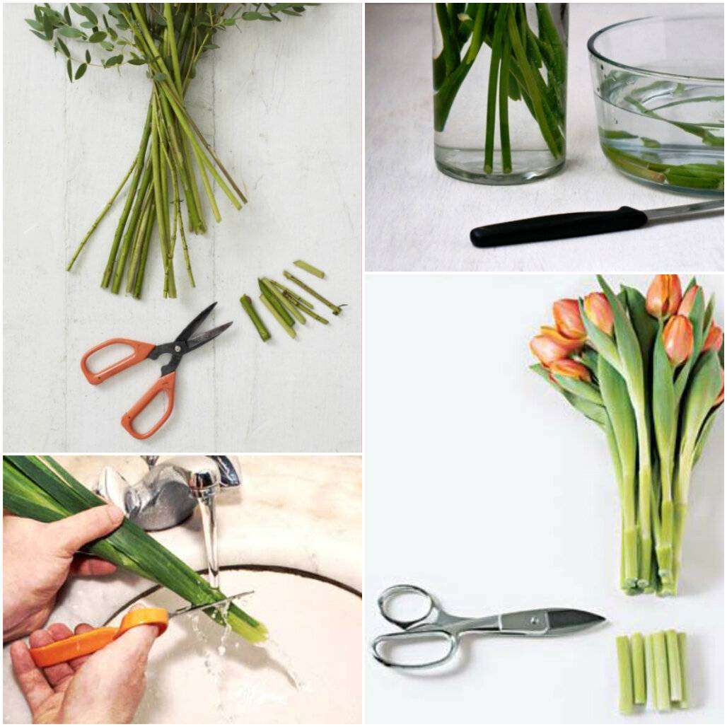 Как сохранить цветы в вазе подольше и способы реанимировать завядшие растения + отзывы