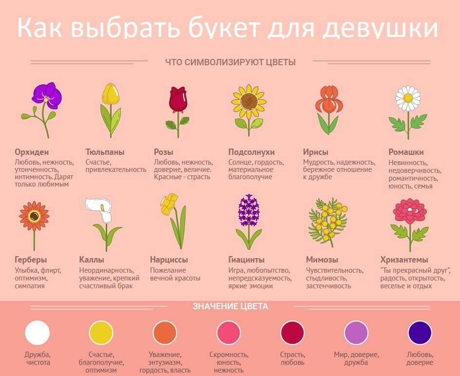 Язык цветов (флориография) - значение цветов