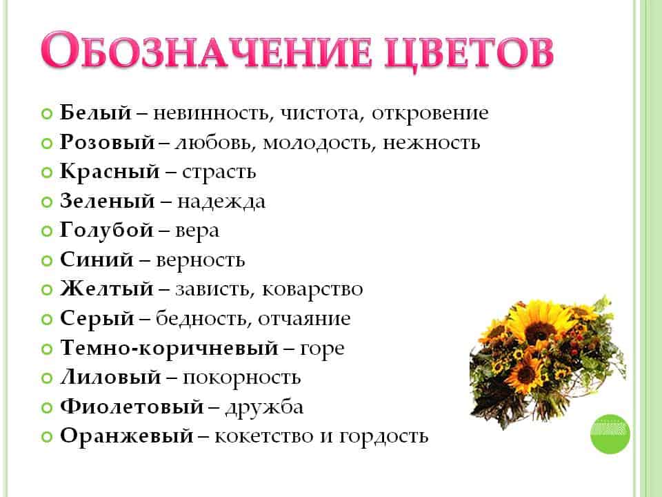 Язык цветов: приятный посыл