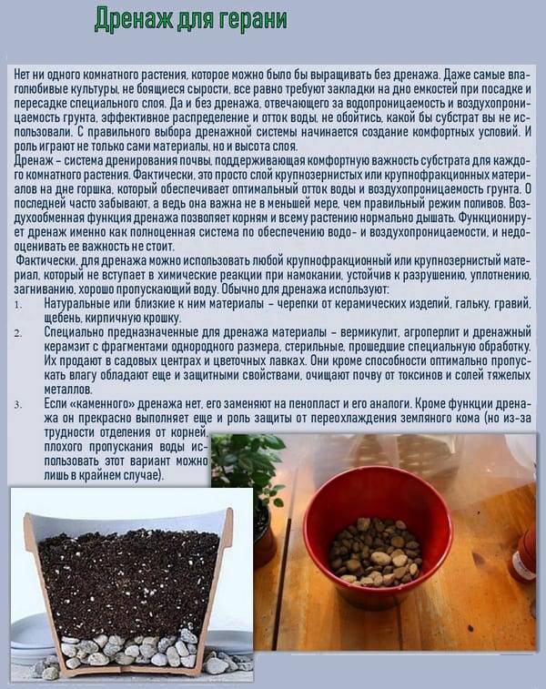 Лучший грунт для рассады: состав, подготовка почвы, рекомендации и отзывы :: syl.ru