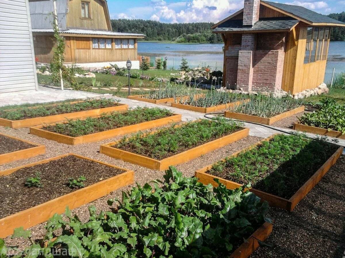 Контейнерное садоводство: мини-грядки для зелени, выращивание овощей. как из пластиковых ящиков сделать грядки своими руками и что выращивать