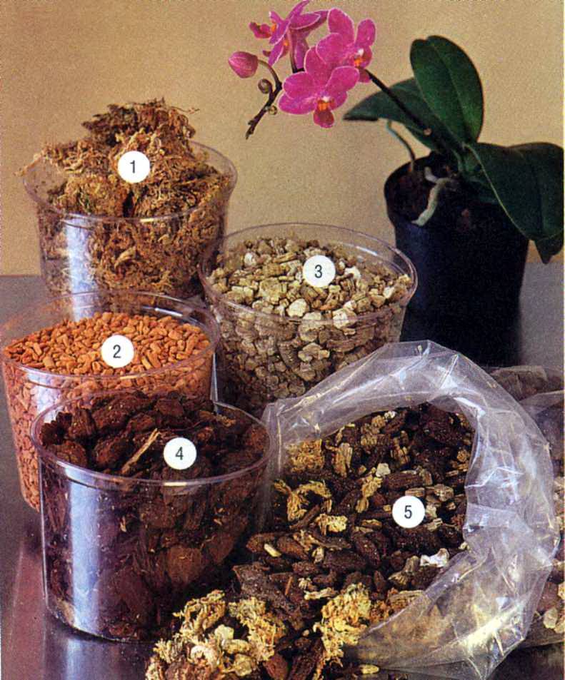 Какая почва подходит для орхидеи — выращиваем тропический цветок в домашних условиях