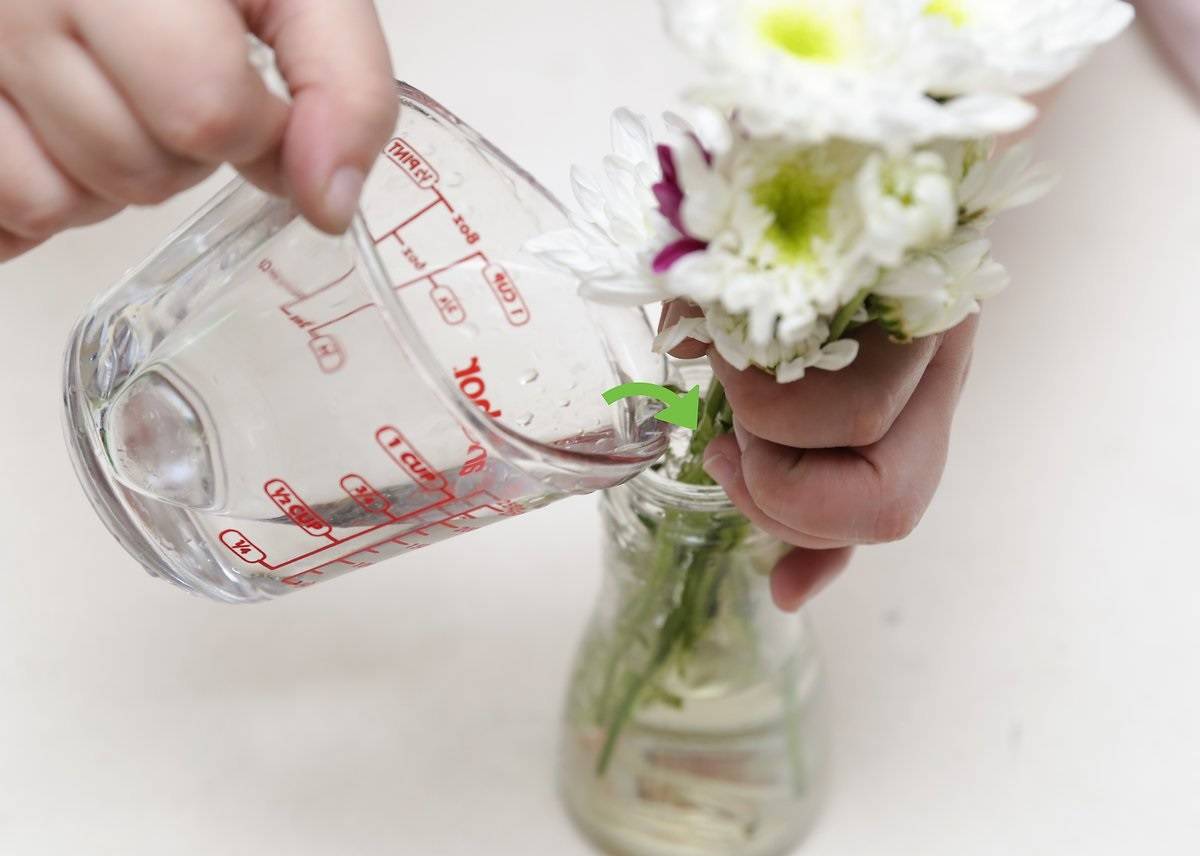 Как сохранить срезанные цветы в вазе подольше: при какой температуре необходимо хранить, использование средств
