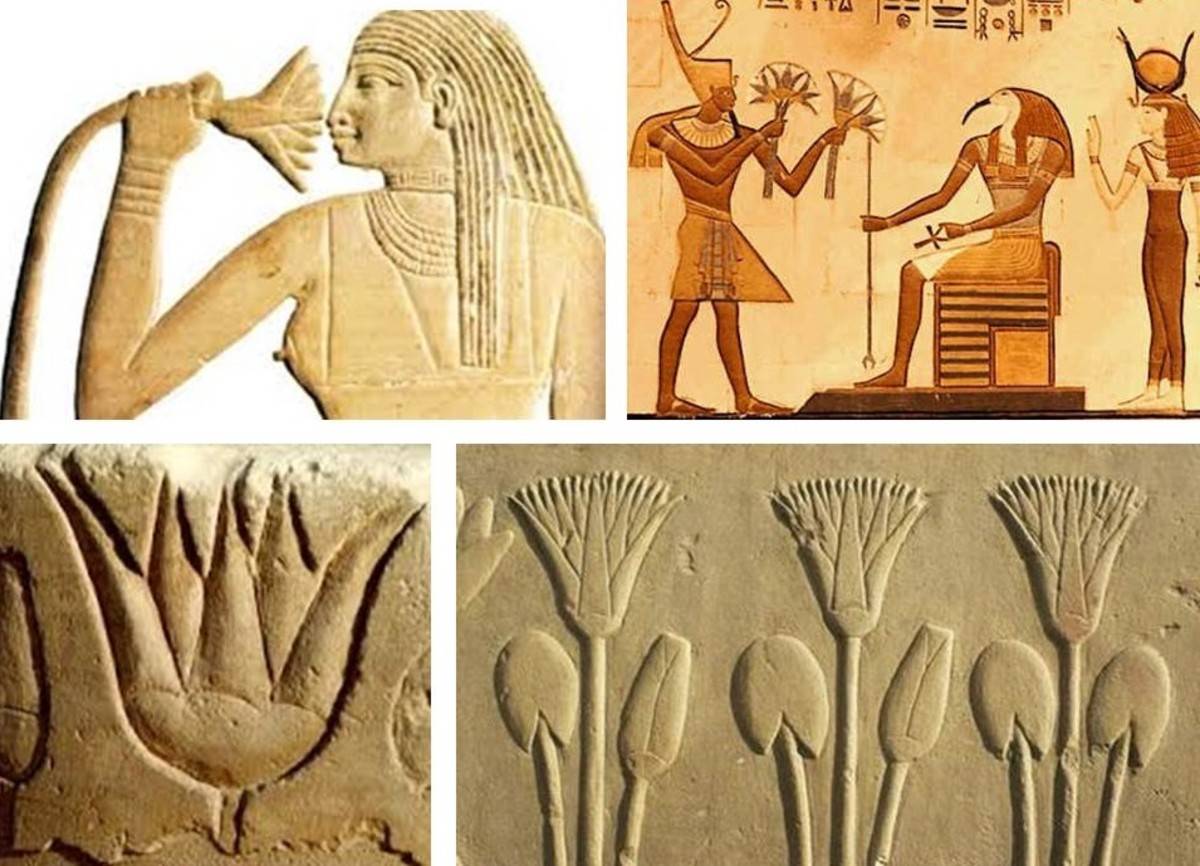 Сады древнего египта