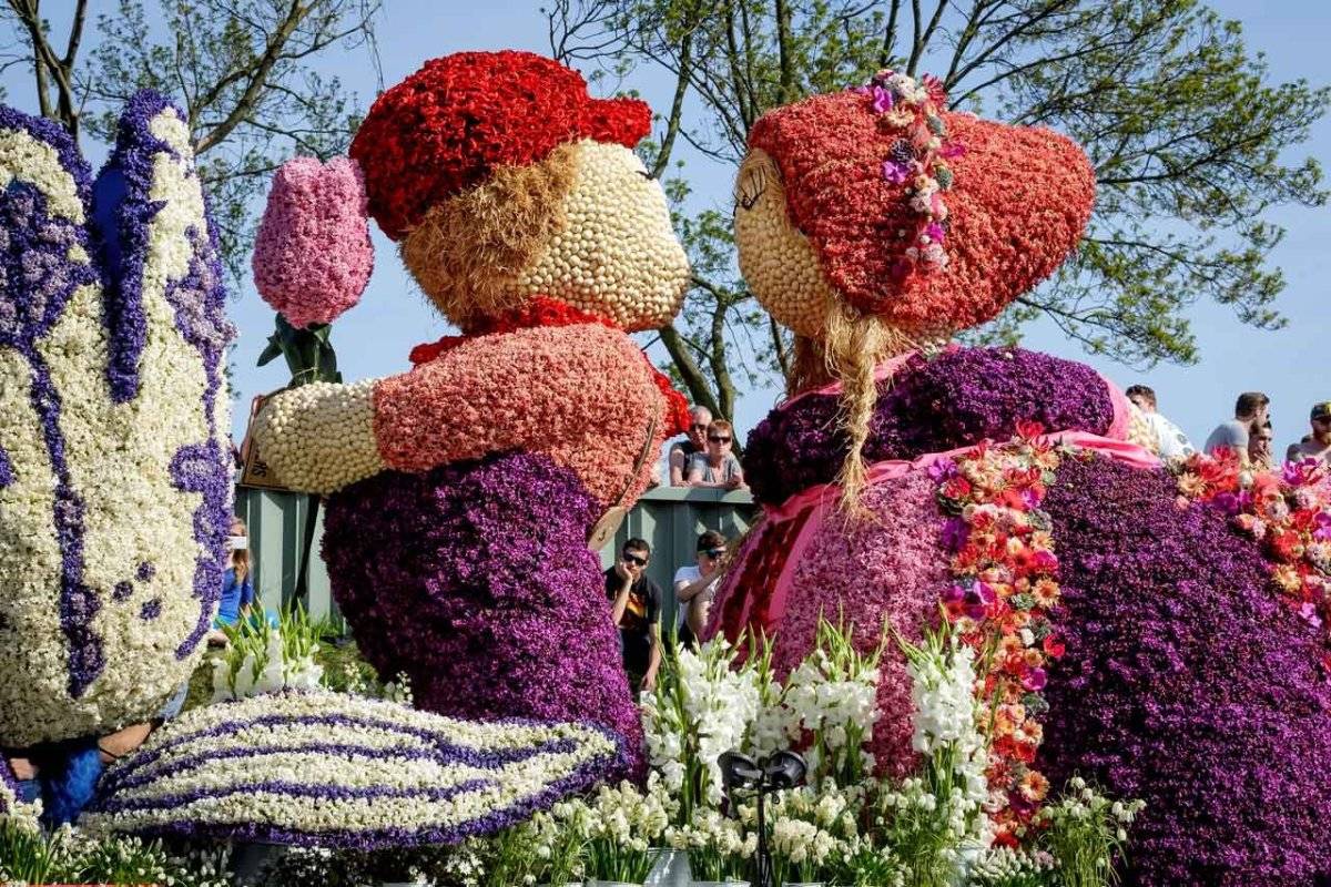 ᐉ поля тюльпанов в лиссе, нидерланды - обзор - amsterdamtravel.ru