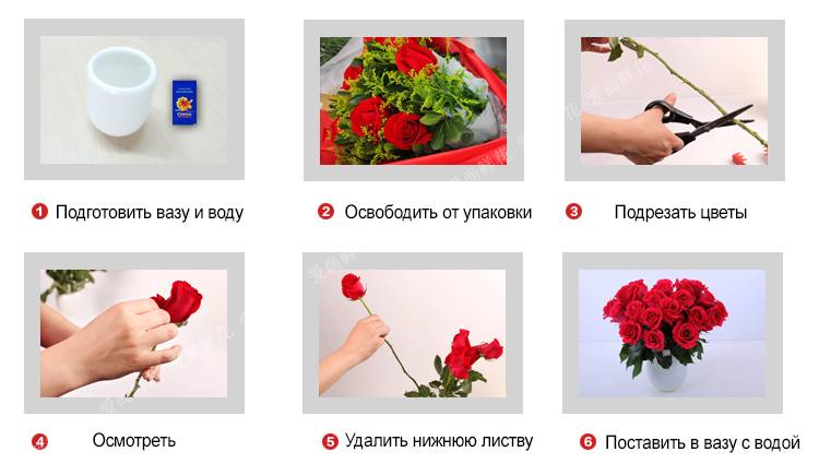 Как сохранить срезанные розы в вазе как можно дольше
