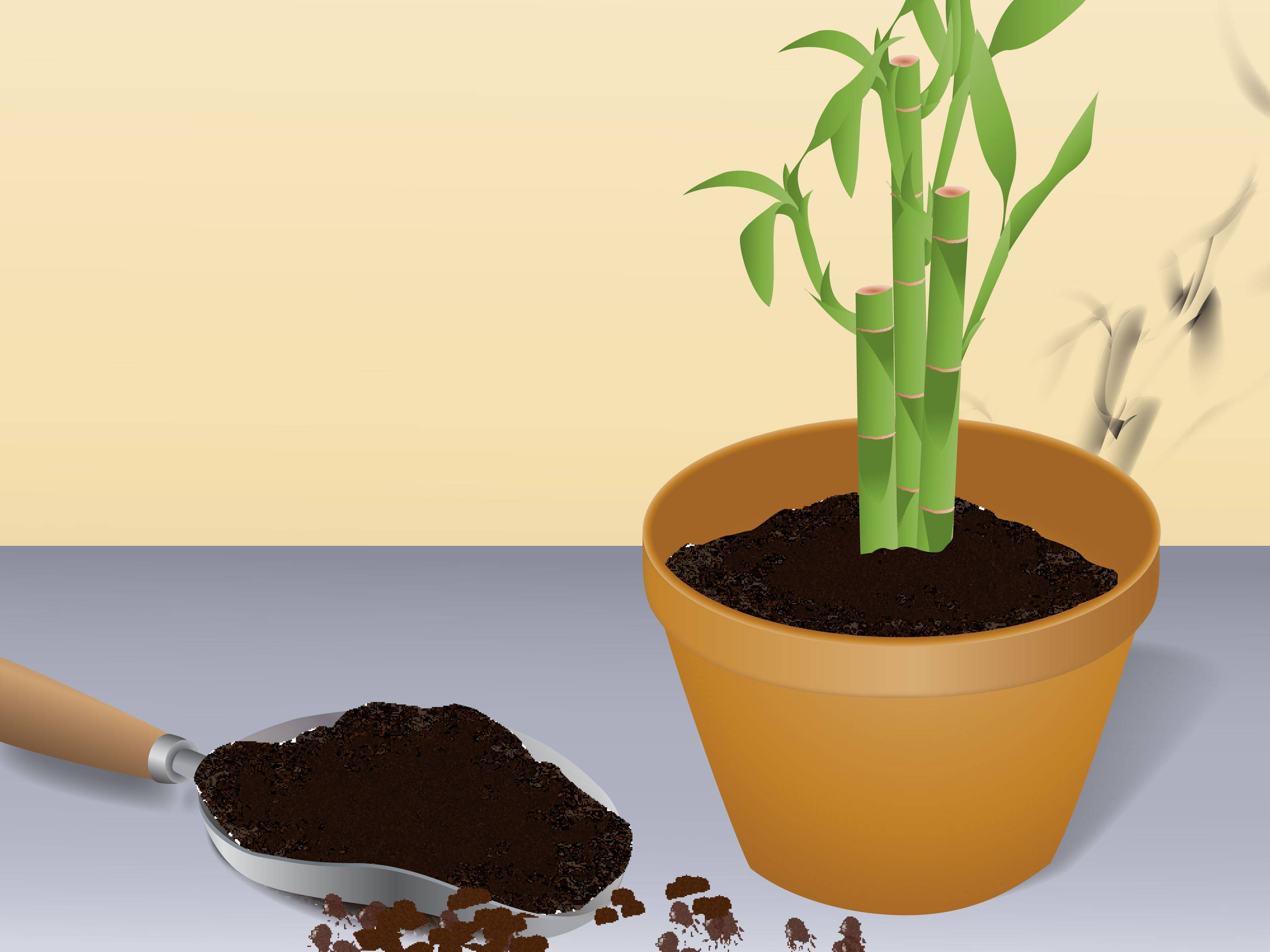 Цветок пентас: выращивание из семян, правила ухода и описание лучших сортов