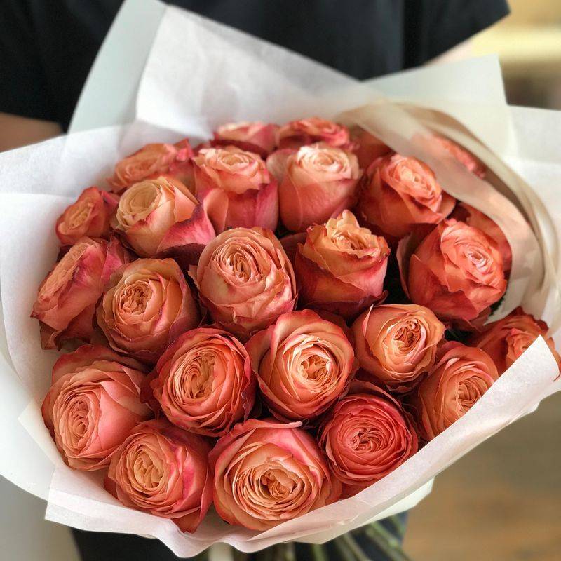 Пионовидные розы: лучшие сорта, по мнению экспертов и отзывам покупателей