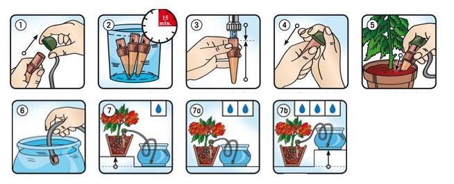 Как сделать автополив для комнатных растений самостоятельно