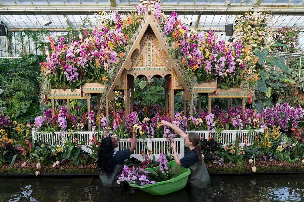 Чем удивил мир знаменитый праздник цветов, вернувшийся в лондон после 2-летнего перерыва