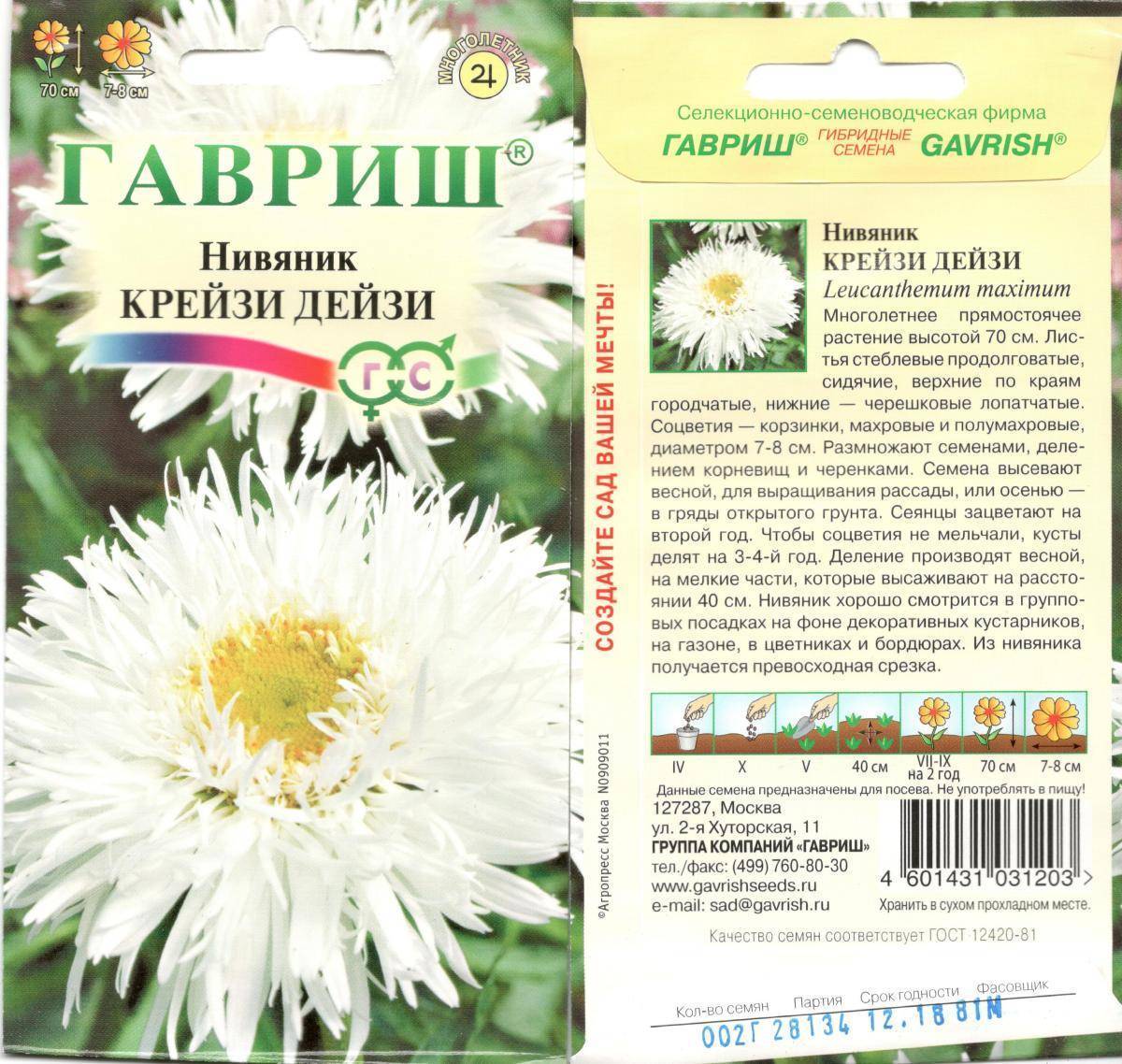 ᐉ цветок нивяник: выращивание из семян в саду, фото, посадка и уход - roza-zanoza.ru