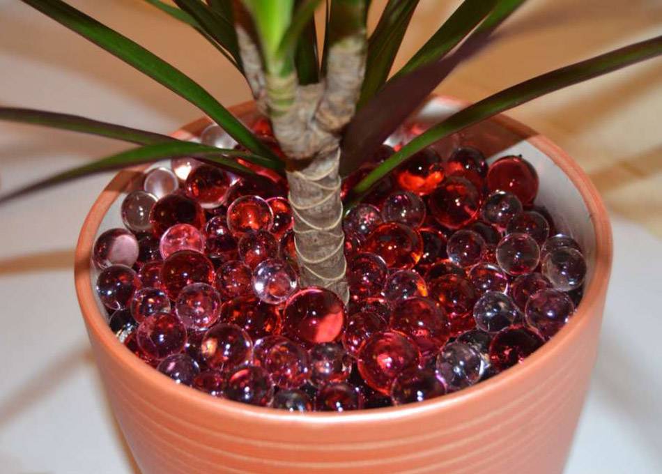 Гидрогель для комнатных растений: что это, каковы плюсы и минусы, для выращивания каких цветов применять, как использовать шарики?