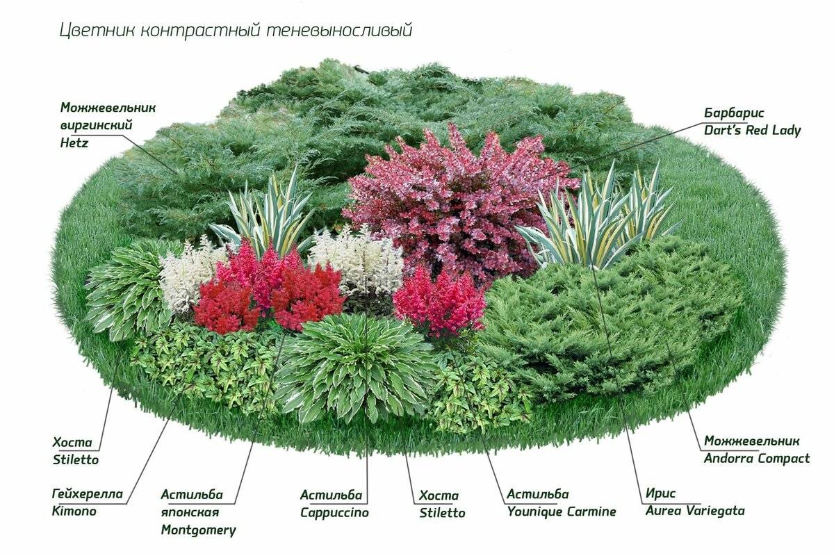 Выбор растений в ландшафтном дизайне: сочетание и применение в композиции