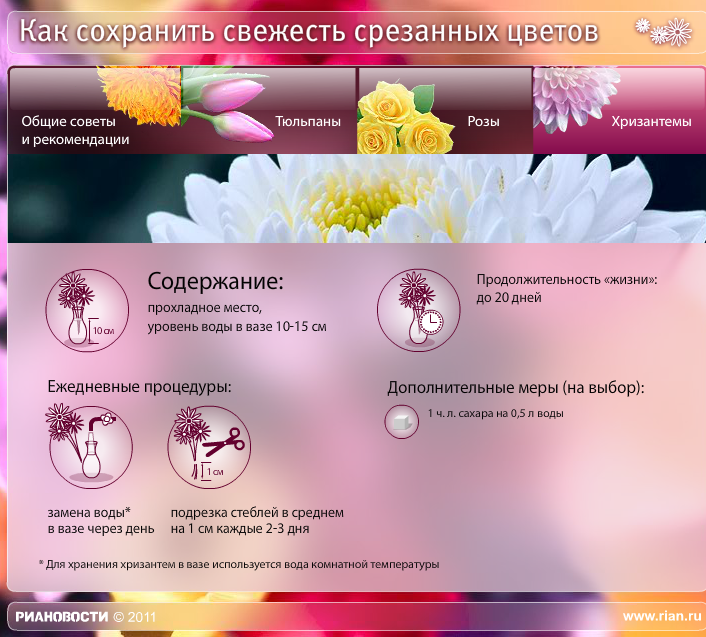 Цветы, которые долго стоят в вазе: названия, советы по уходу - parentchild.ru