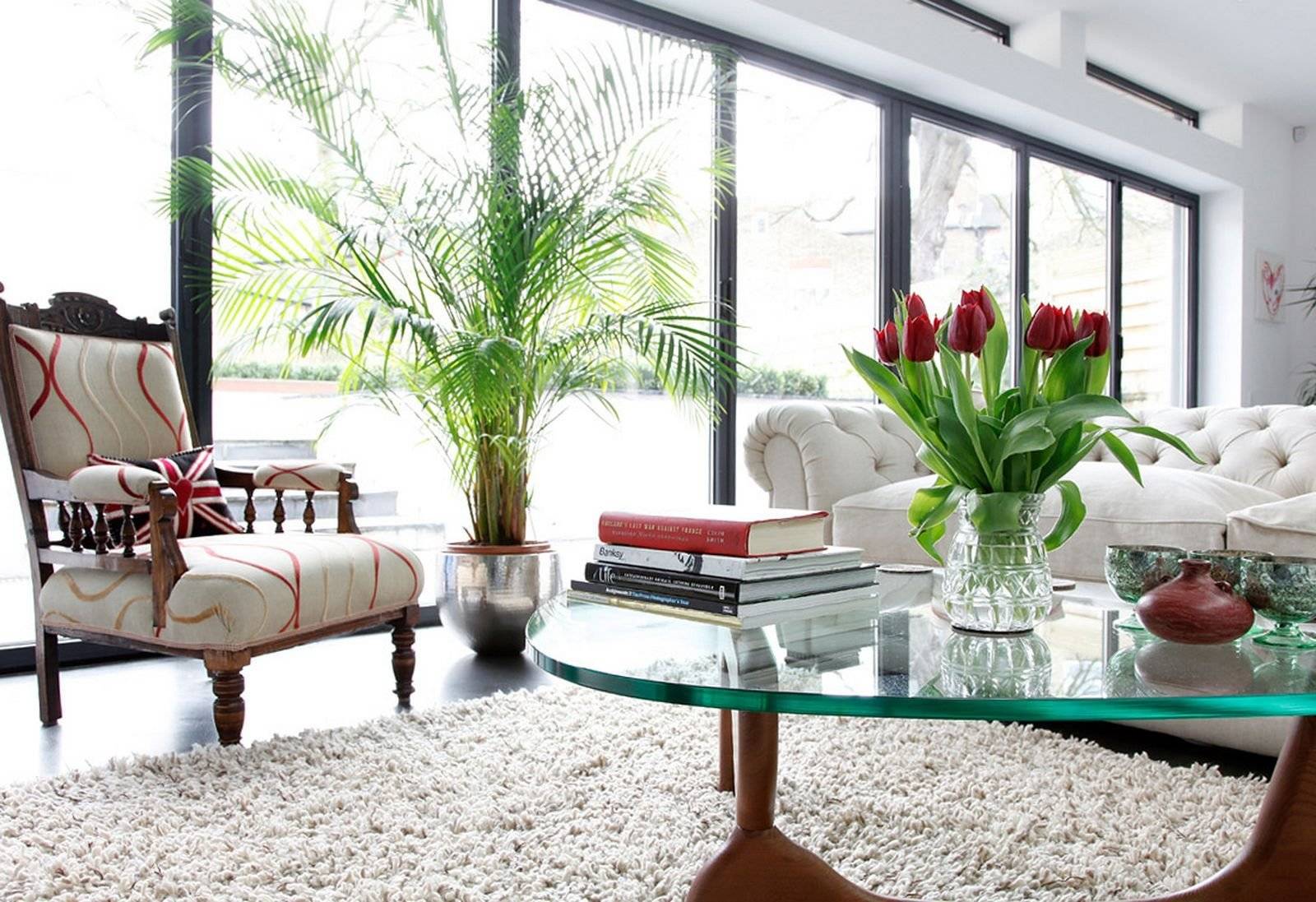Комнатные растения в интерьере квартиры — 65 фото в стильном оформлении