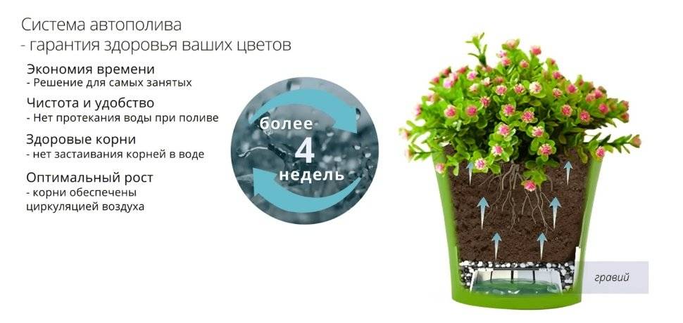 Горшки с автополивом lechuza, кашпо для цветов, марки горшков с системой автополива