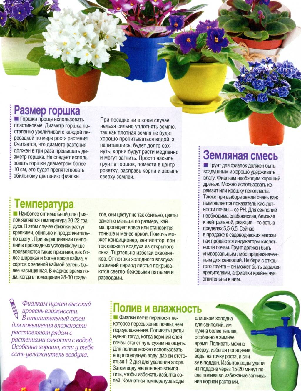 Как сажать фиалки: выбор грунта и горшка, правила посадки - sadovnikam.ru