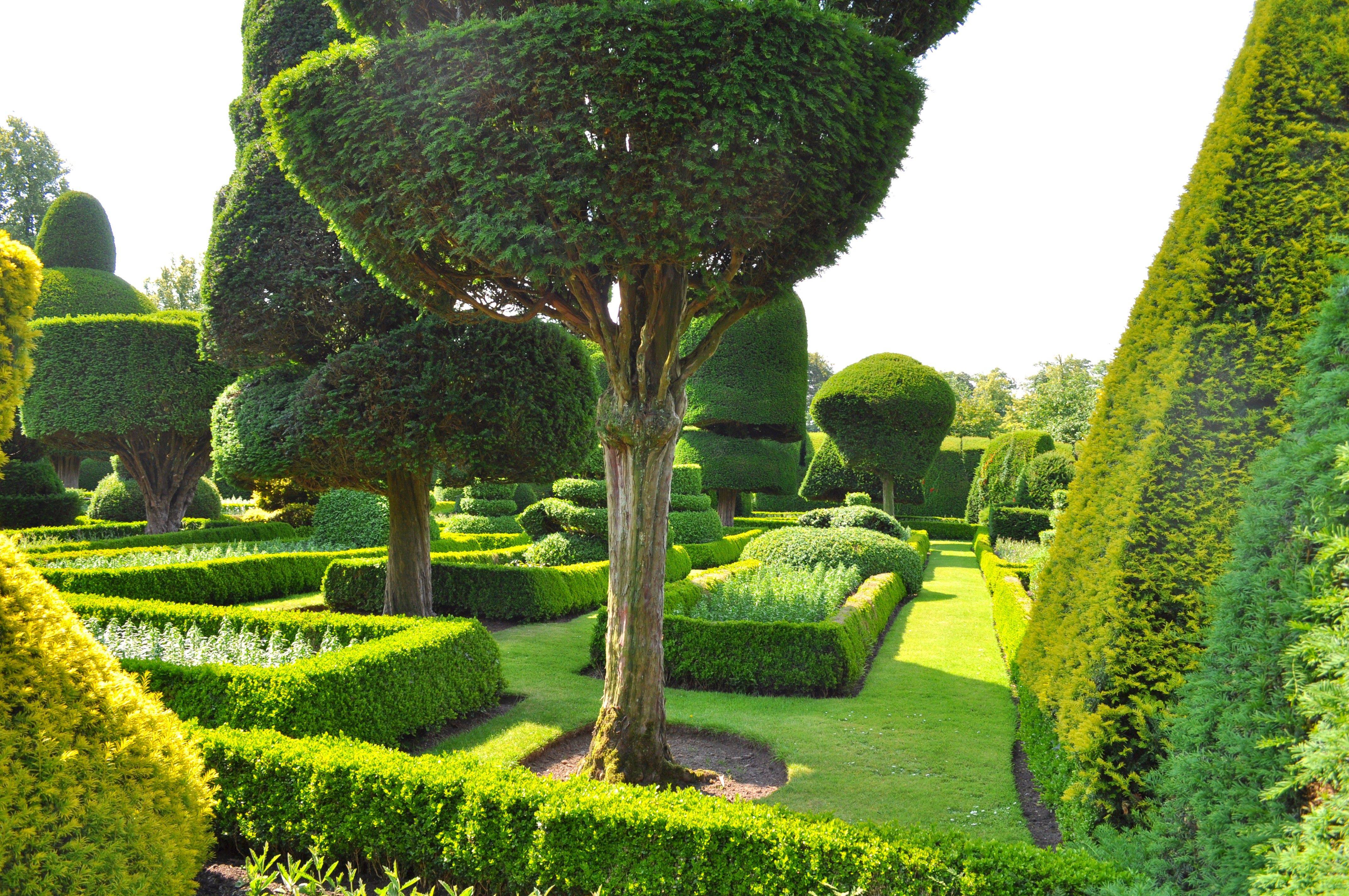 Топиарный сад левенс холл. англия