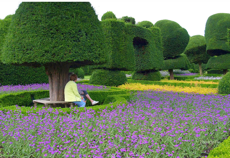 Сад левенс холл – самый красивый и самый ароматный сад в мире, англия
