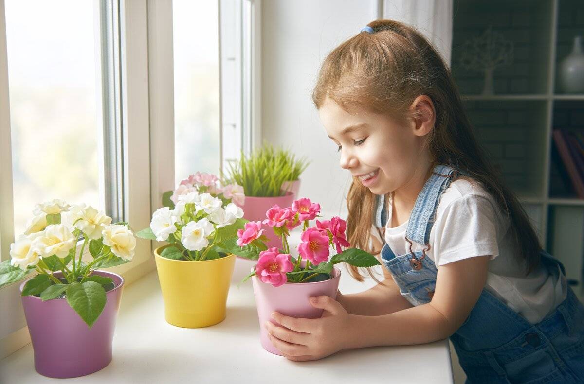 Топ-15 комнатных растений для детской | (25 фото) +отзывы