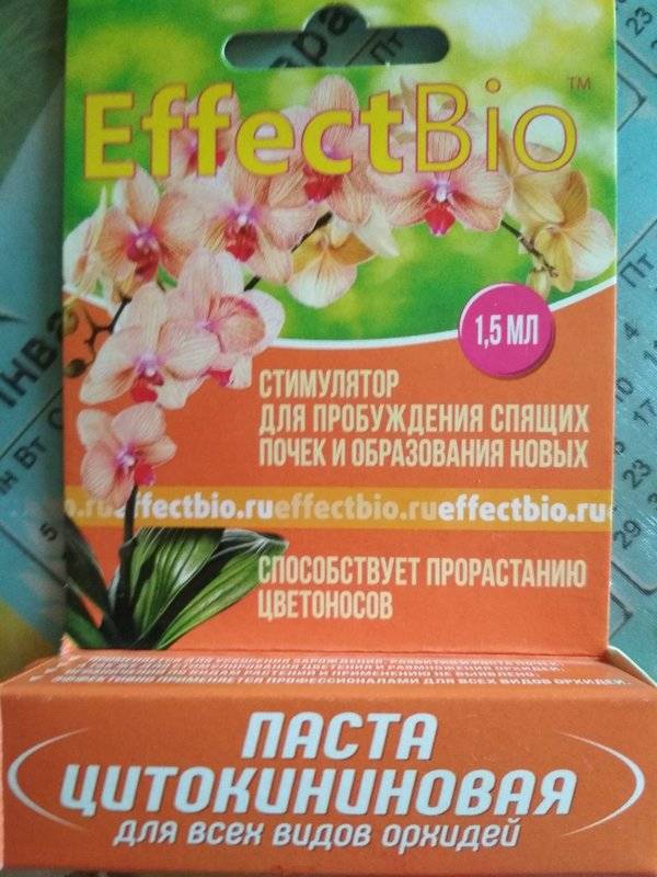 Особенности применения средств для стимуляции цветения растений: цитокининовая паста для орхидей