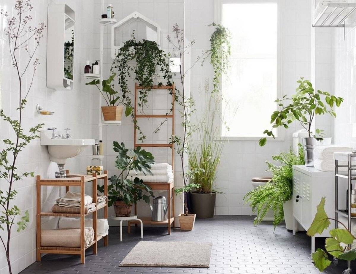 ???? комнатные растения в интерьере жилого дома для отличного настроения и других целей