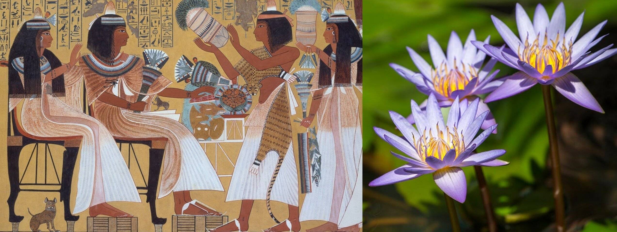 Cекреты красоты и гигиены древнего египта, которыми пользуется люди в современном мире