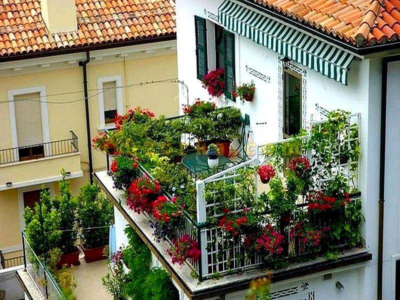 Оформление балкона цветами: как разместить растения на лоджии