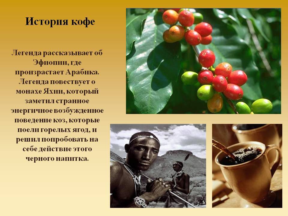 История кофе: родом из эфиопии, торговля началась из йемена