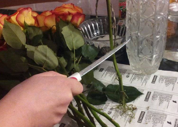 Как сохранить цветы в вазе