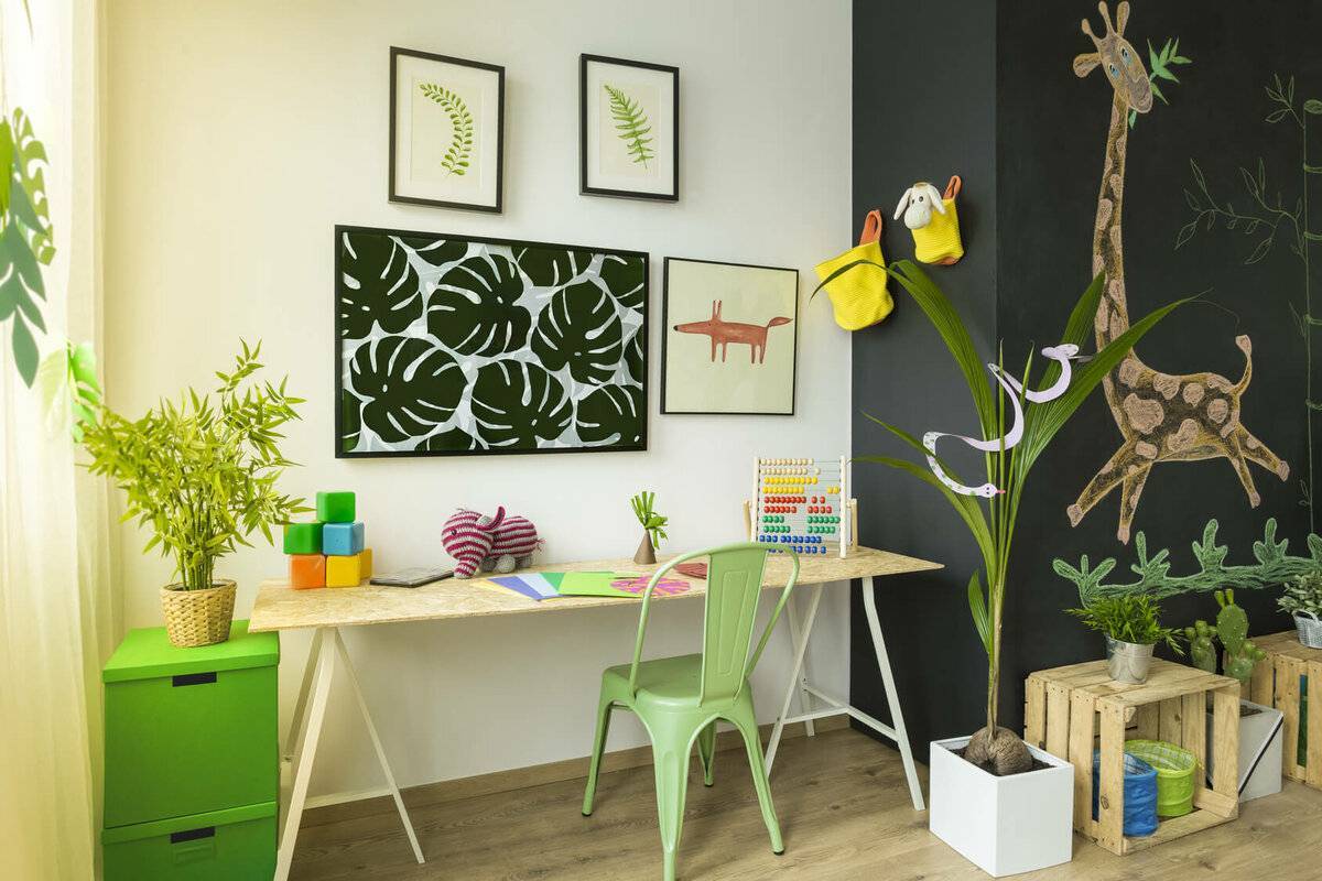Какие цветы для детской комнаты полезны: фото, описание