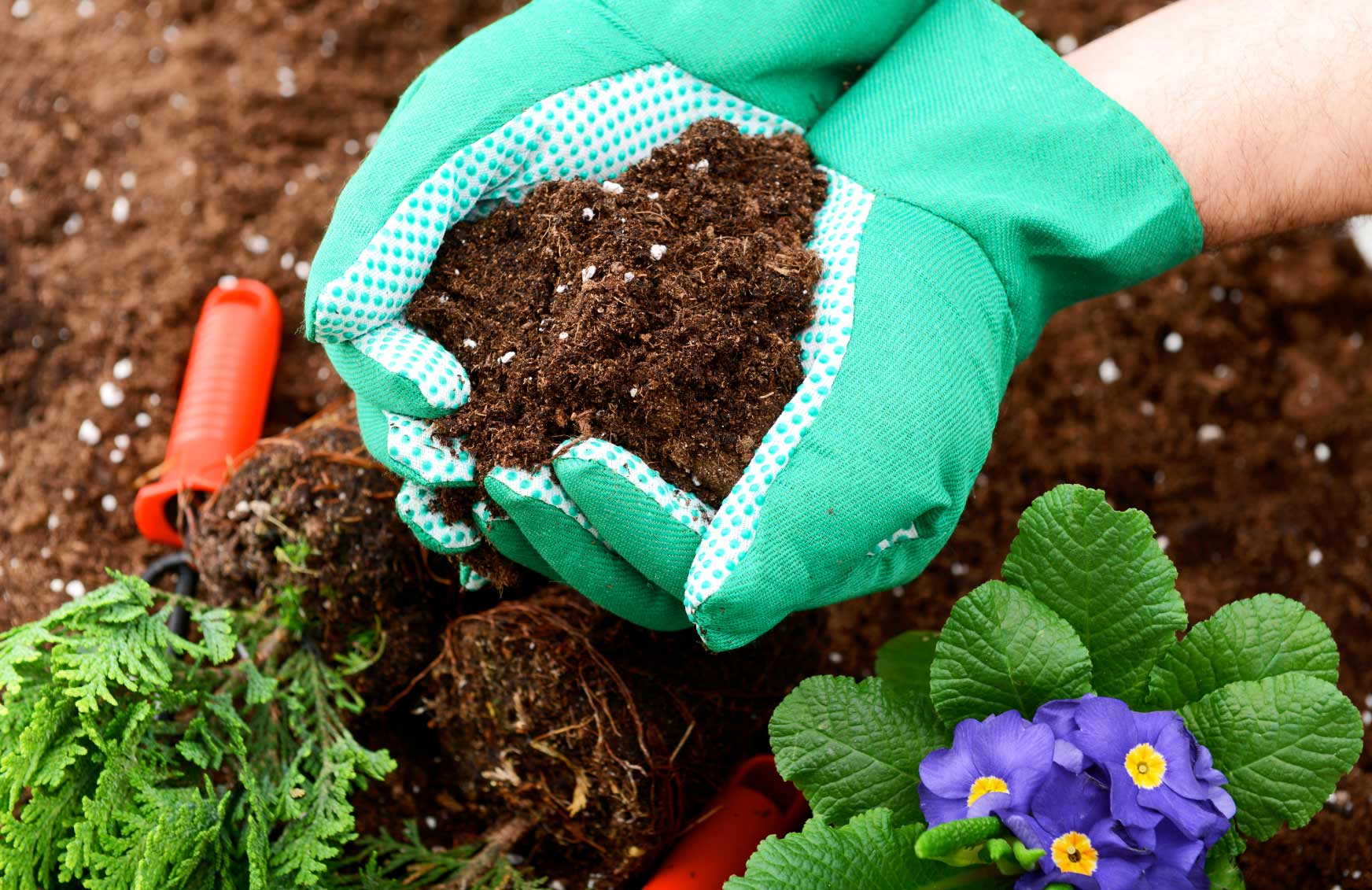 О минеральных удобрениях для сада и огорода: виды и характеристика, когда вносят