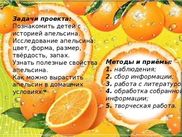 Апельсин/citrus sinensis на supersadovnik.ru