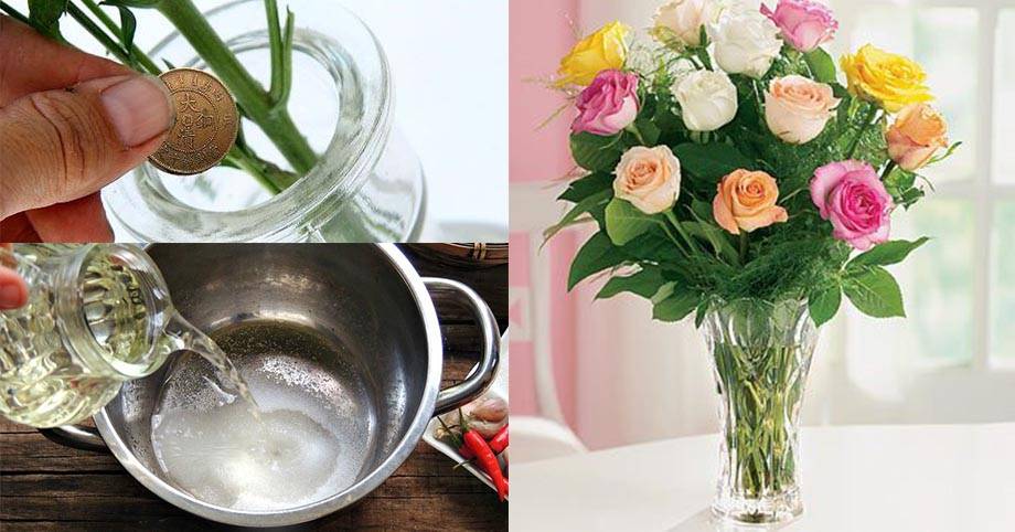 Чтобы розы стояли дольше: как сохранить срезанные цветы в вазе, правильно ухаживать и продлить их жизнь в домашних условиях, что можно добавить в воду?дача эксперт