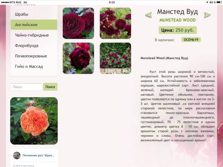 О розе абракадабра (abracadabra ): описание чайно-гибридной плетистой розы